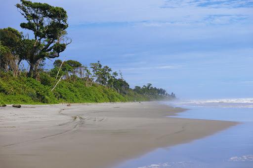 Sandee Wisata Alam, Pantai Seluma Photo