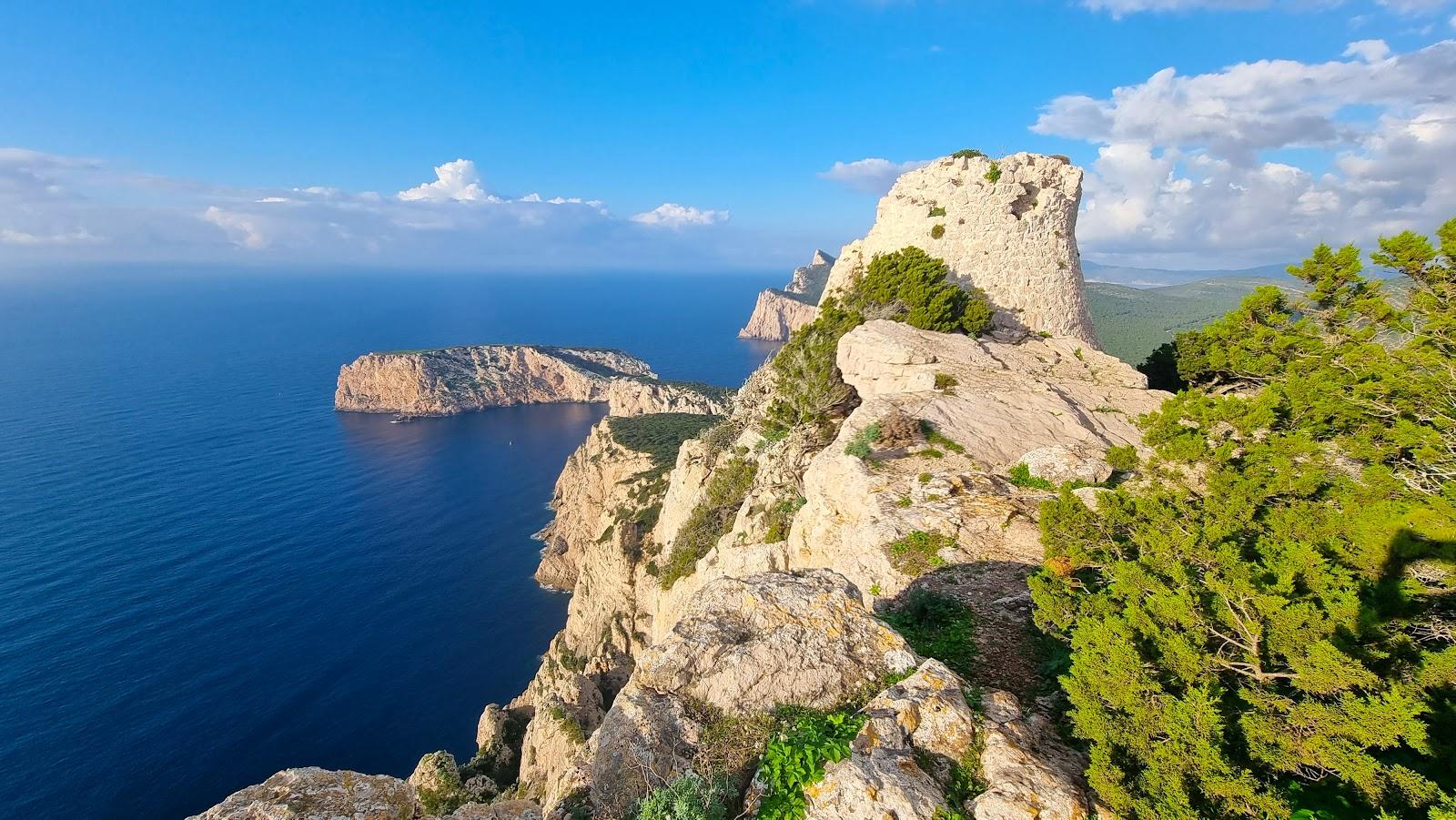 Sandee Torre Della Pegna
