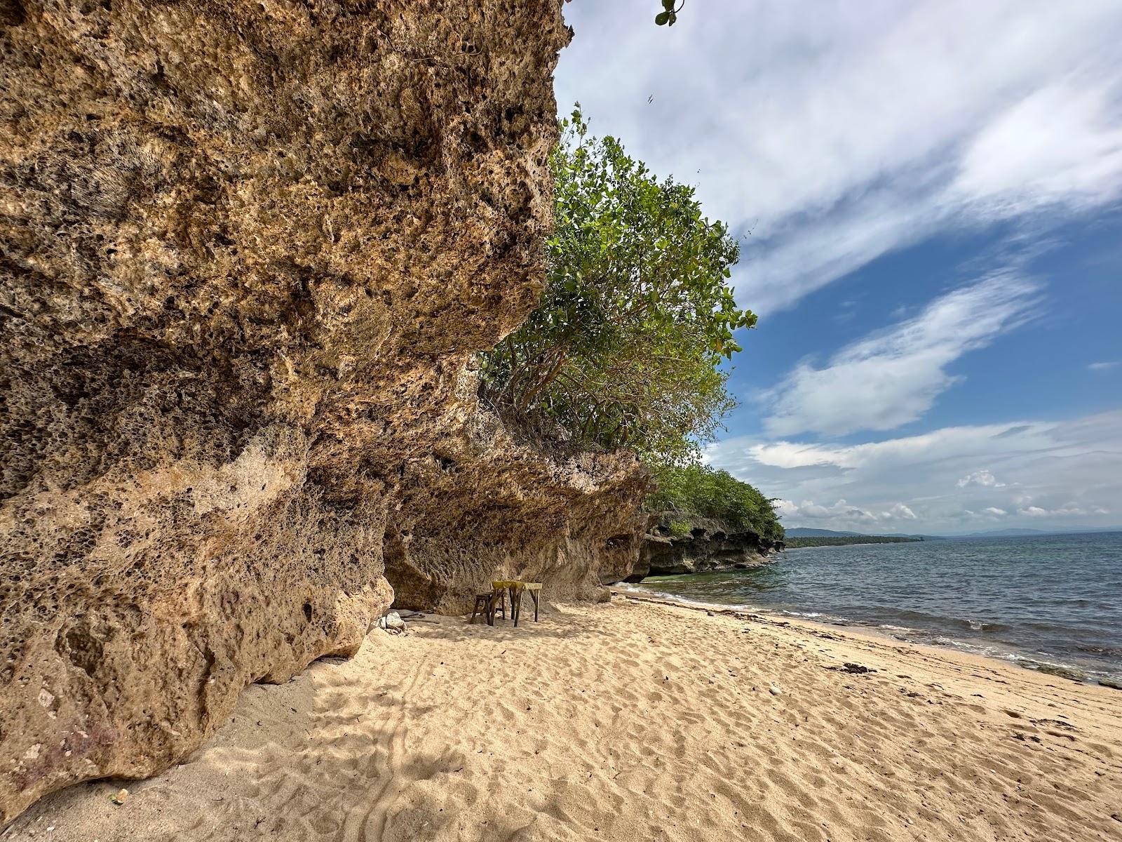 Sandee Punta Limestone Cliffs Photo