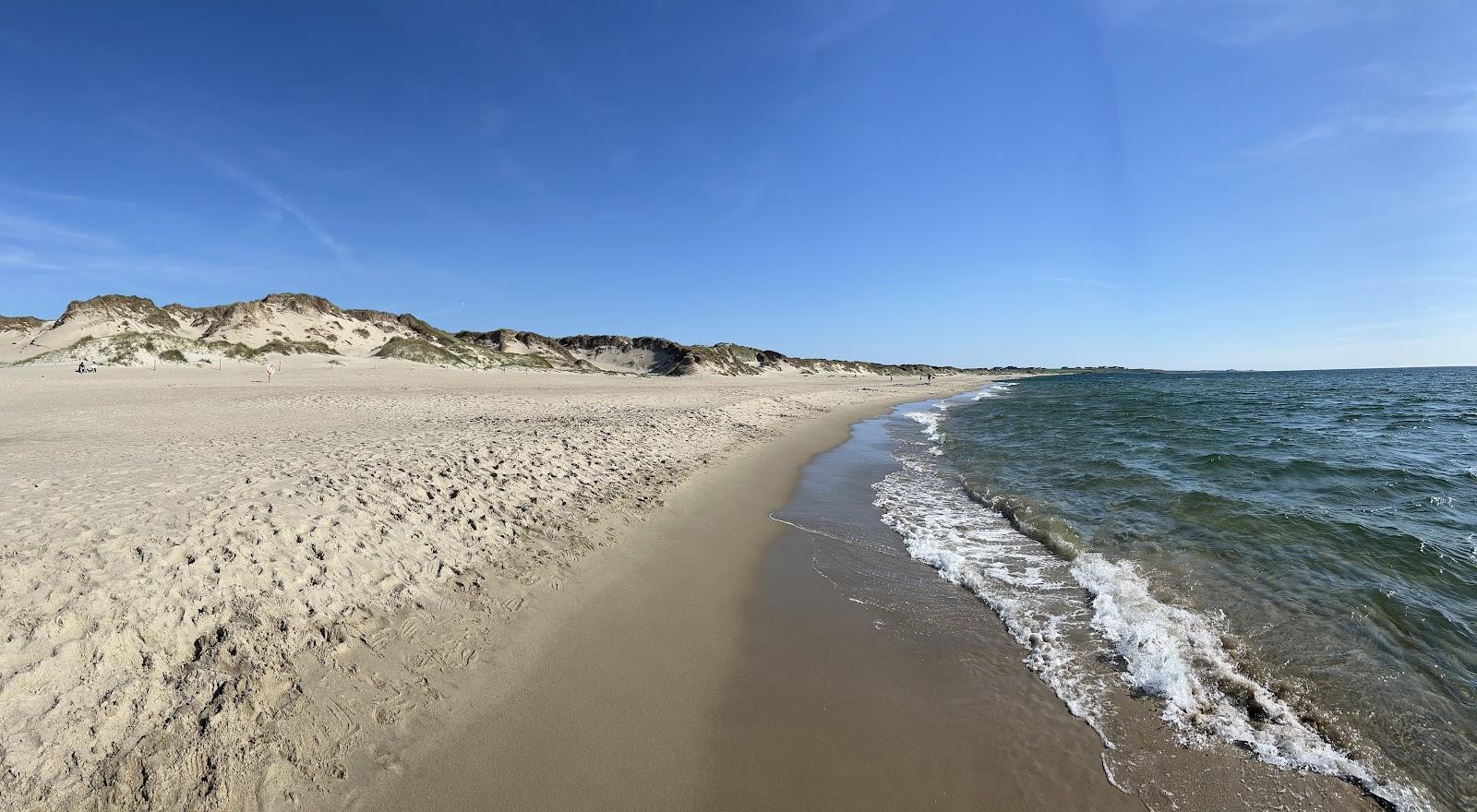 Sandee Borestranden Photo