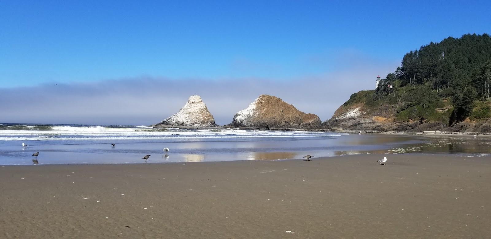 Sandee - HomePage / Heceta Beach