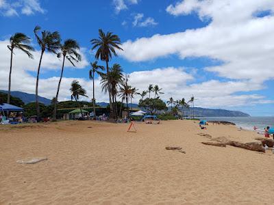 Sandee - Haleiwa Alii Beach Park