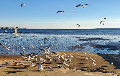 Sandee - Floridatown Park Beach