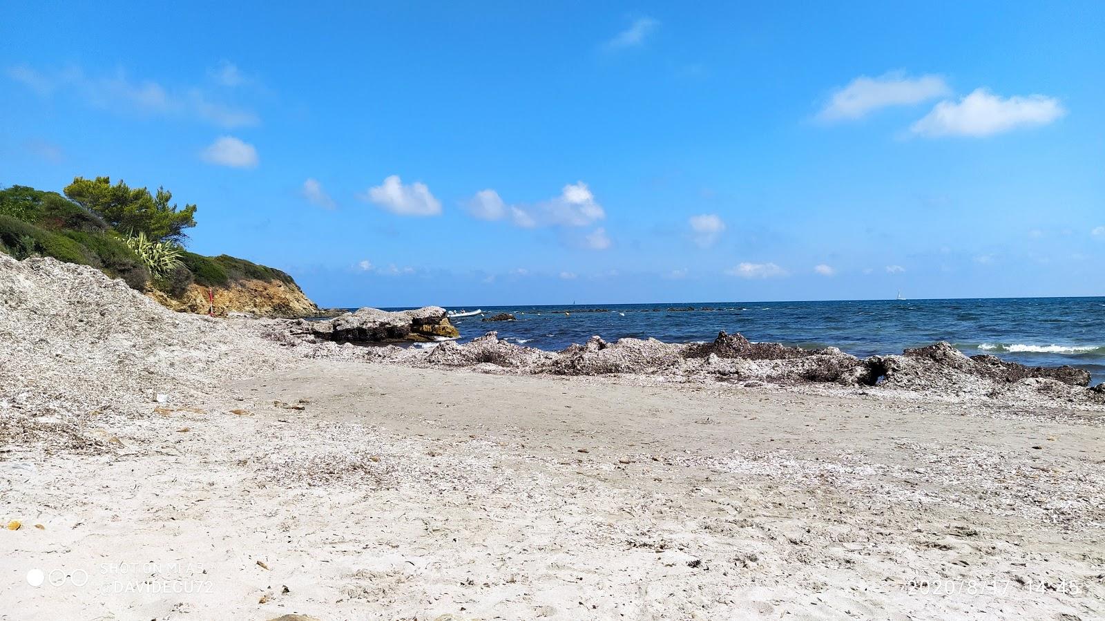 Sandee Dog Beach Tertenia Photo