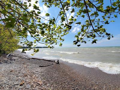 Sandee - James N. Allan Provincial Park