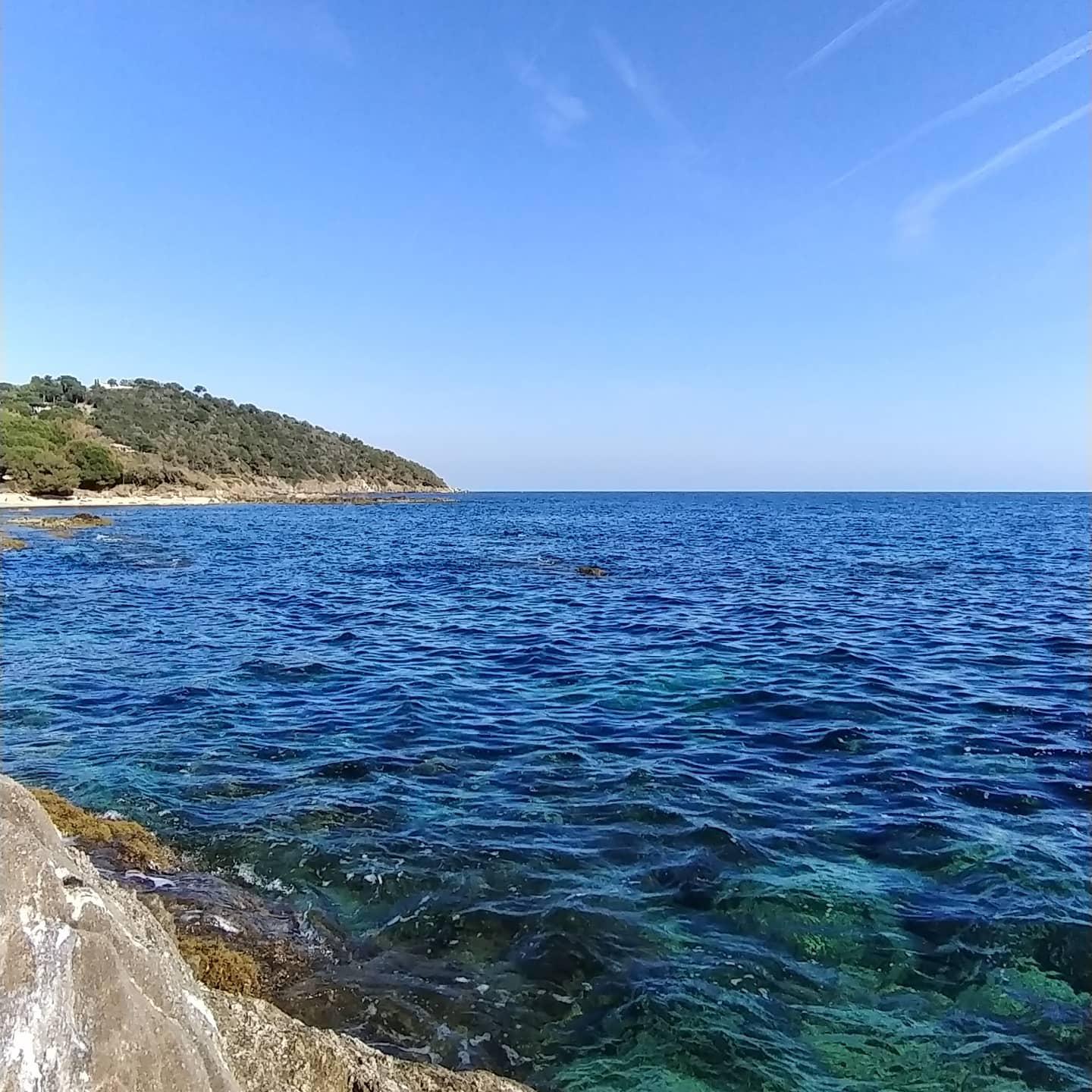 Sandee La Garrigue
