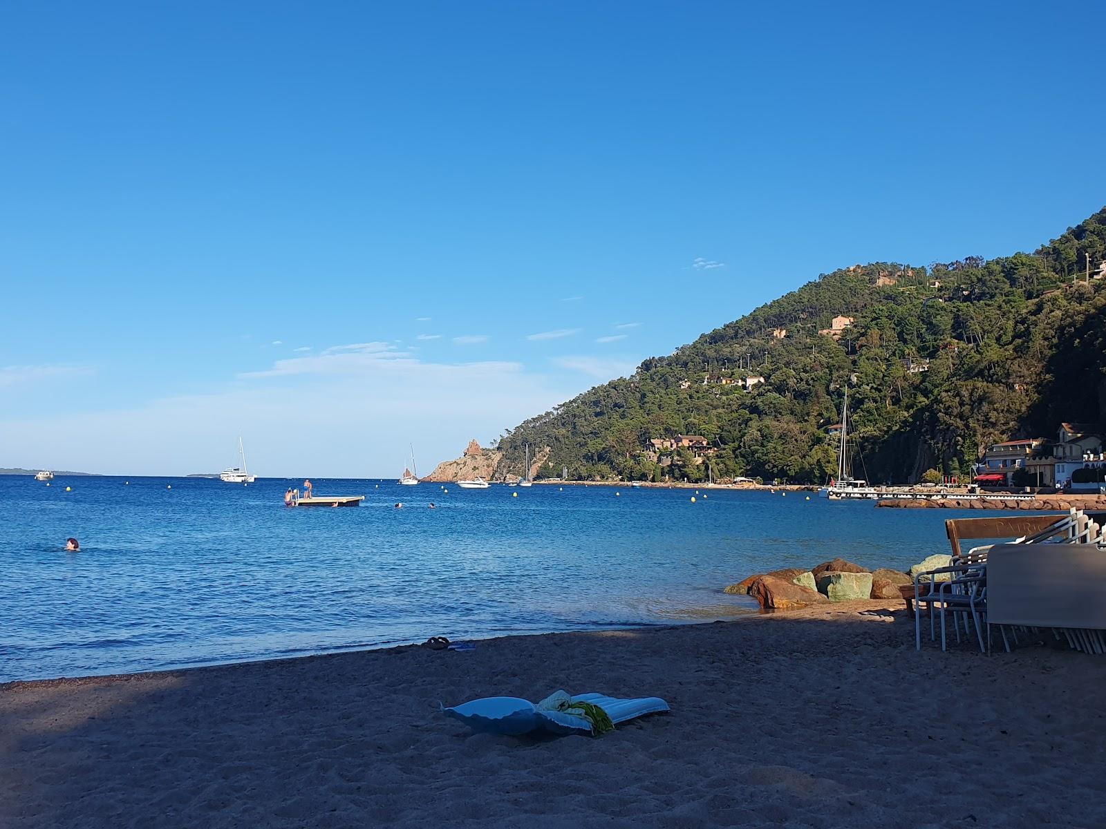 Sandee Plage Du Suveret

 Photo