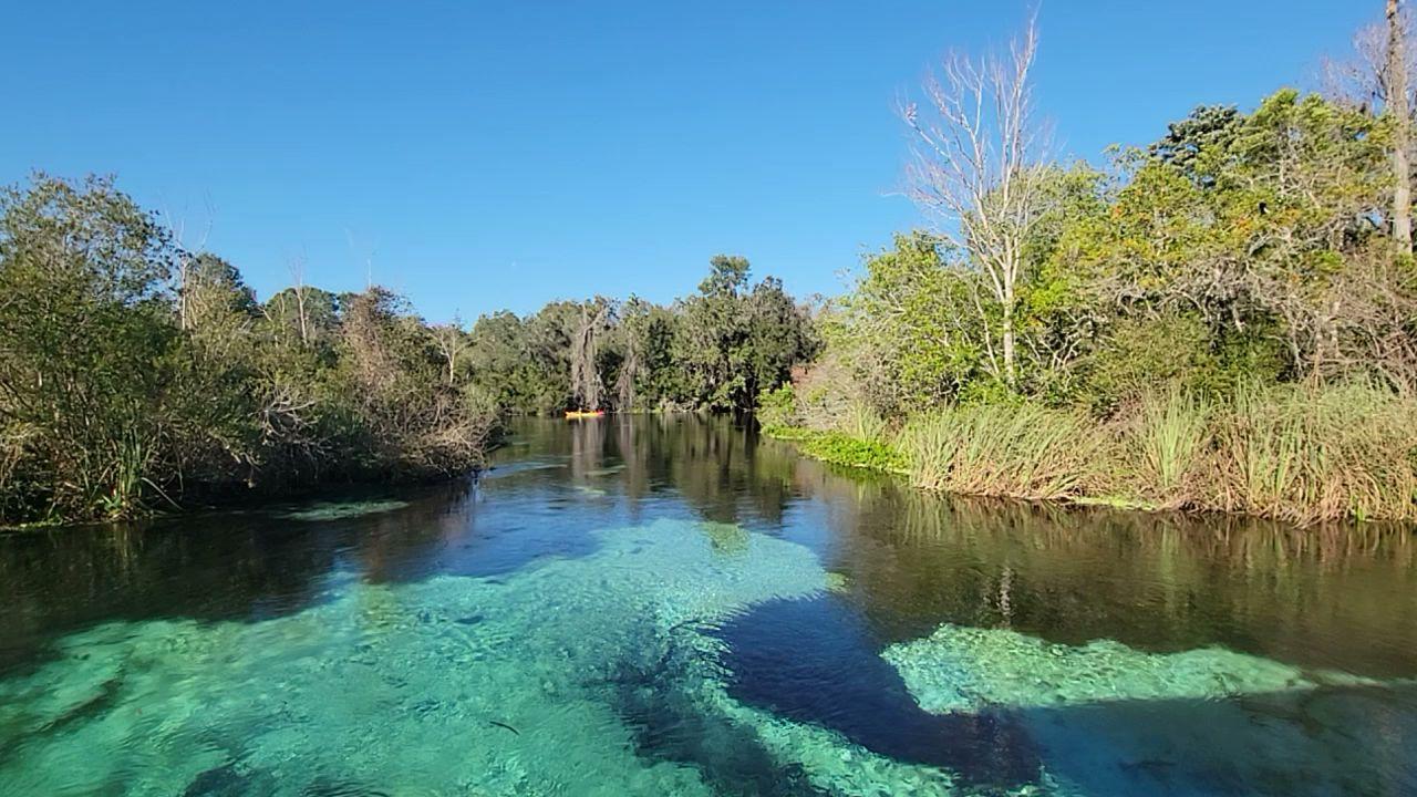 Sandee - Weeki Wachee Spring