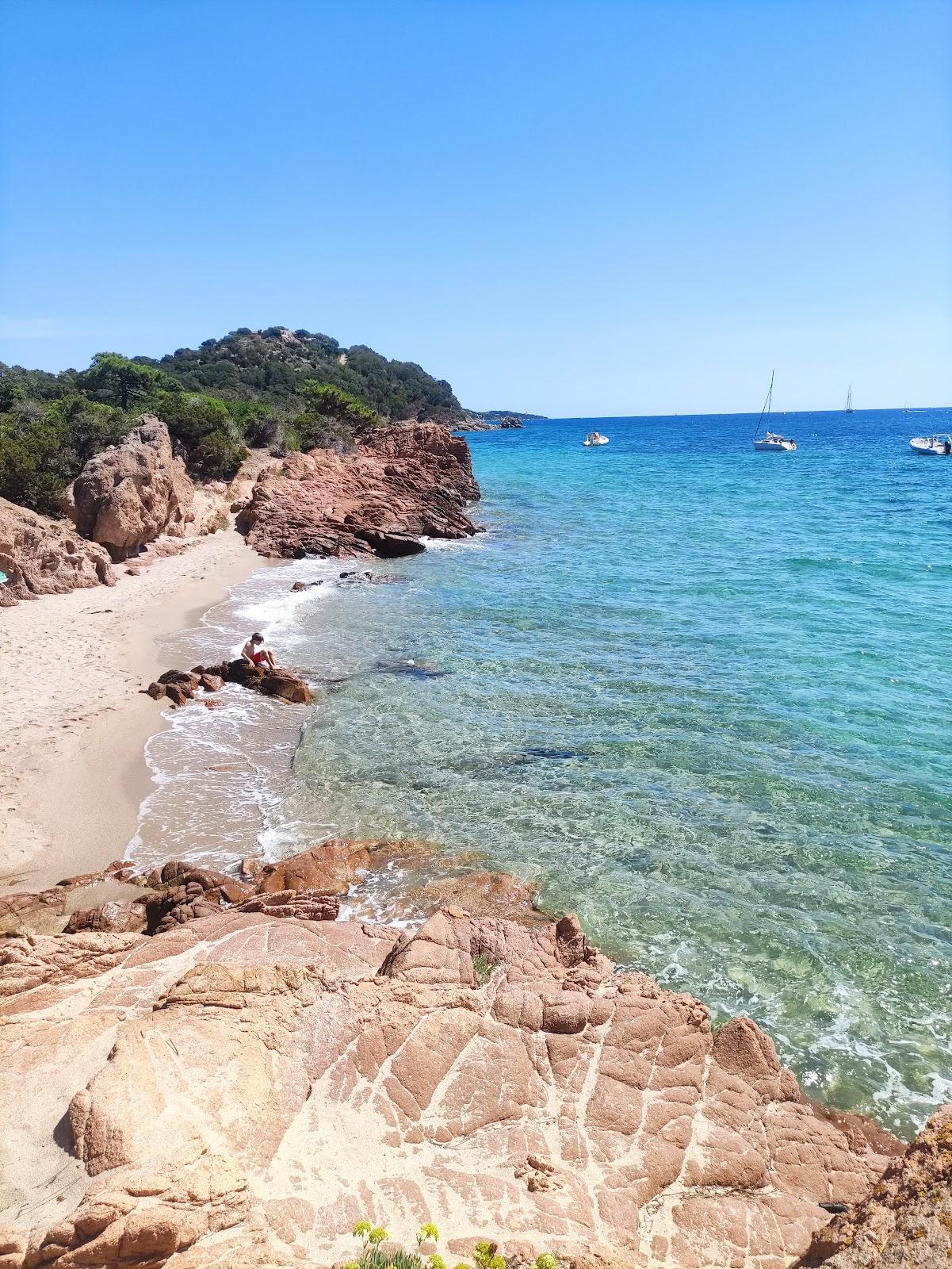 Sandee Benedettu Beach Photo