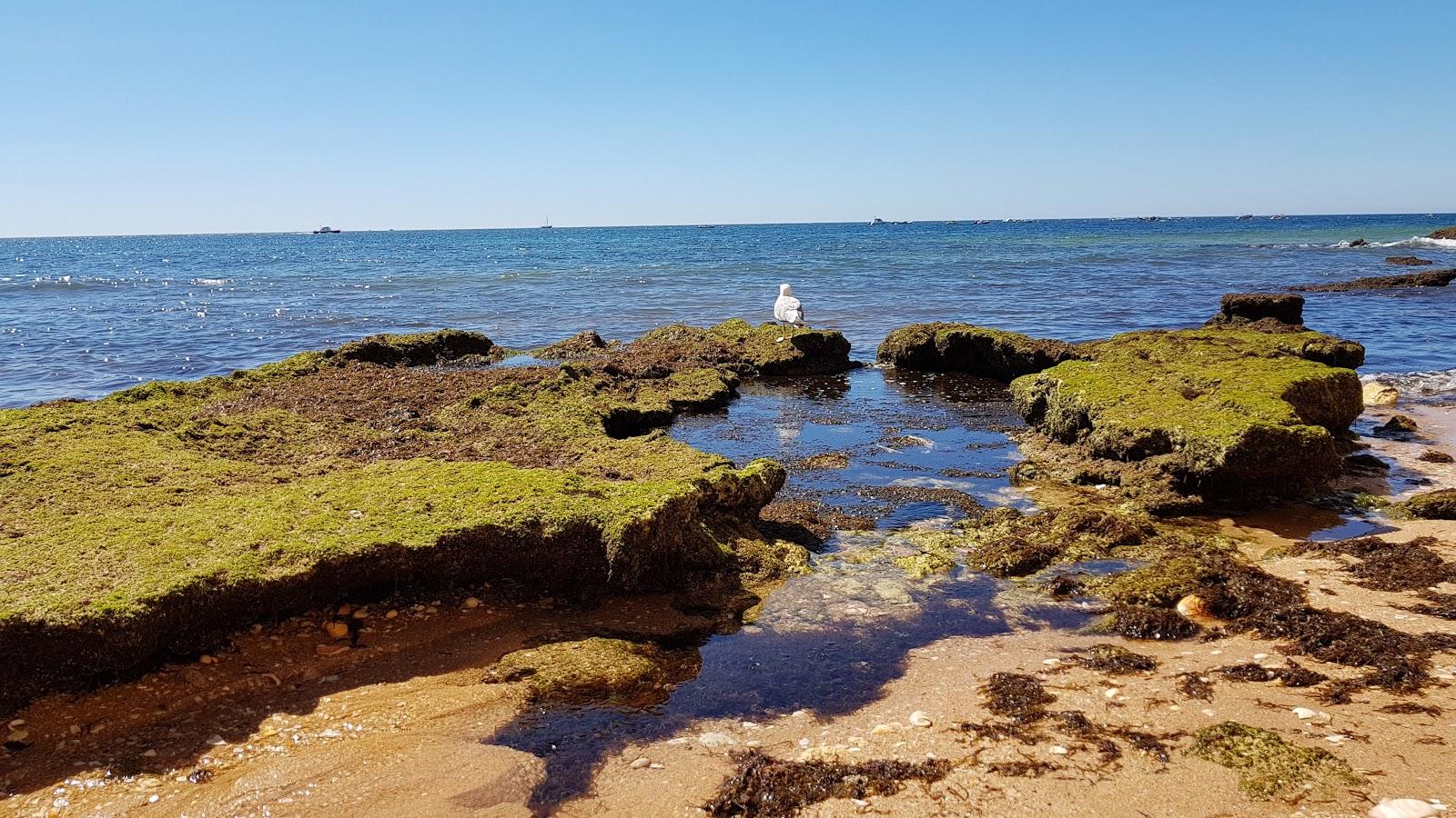 Sandee - Praia Dos Cavalos