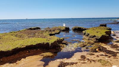 Sandee - Praia Dos Cavalos