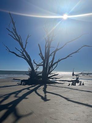 Sandee - Botany Bay