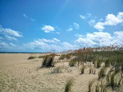 Sandee - North End Beach