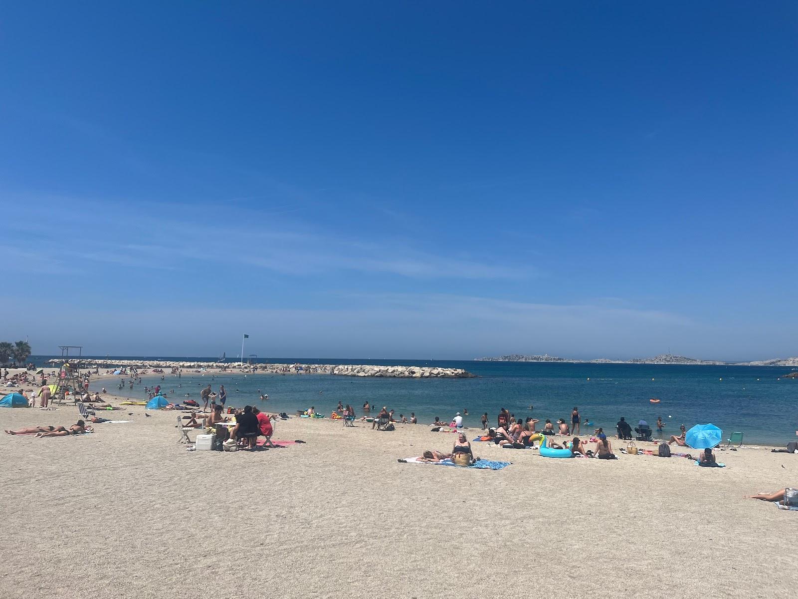 Sandee Plage De Bonneveine Photo