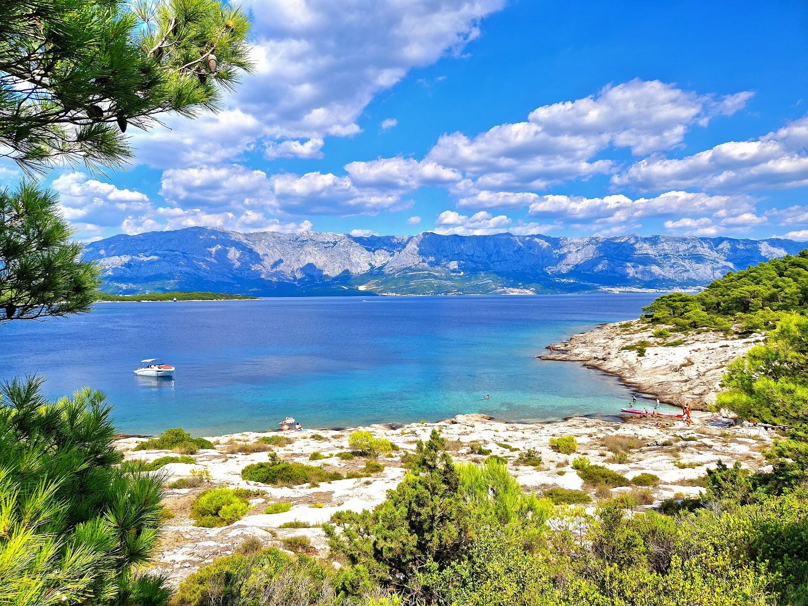 Sandee Beach Jezero Photo