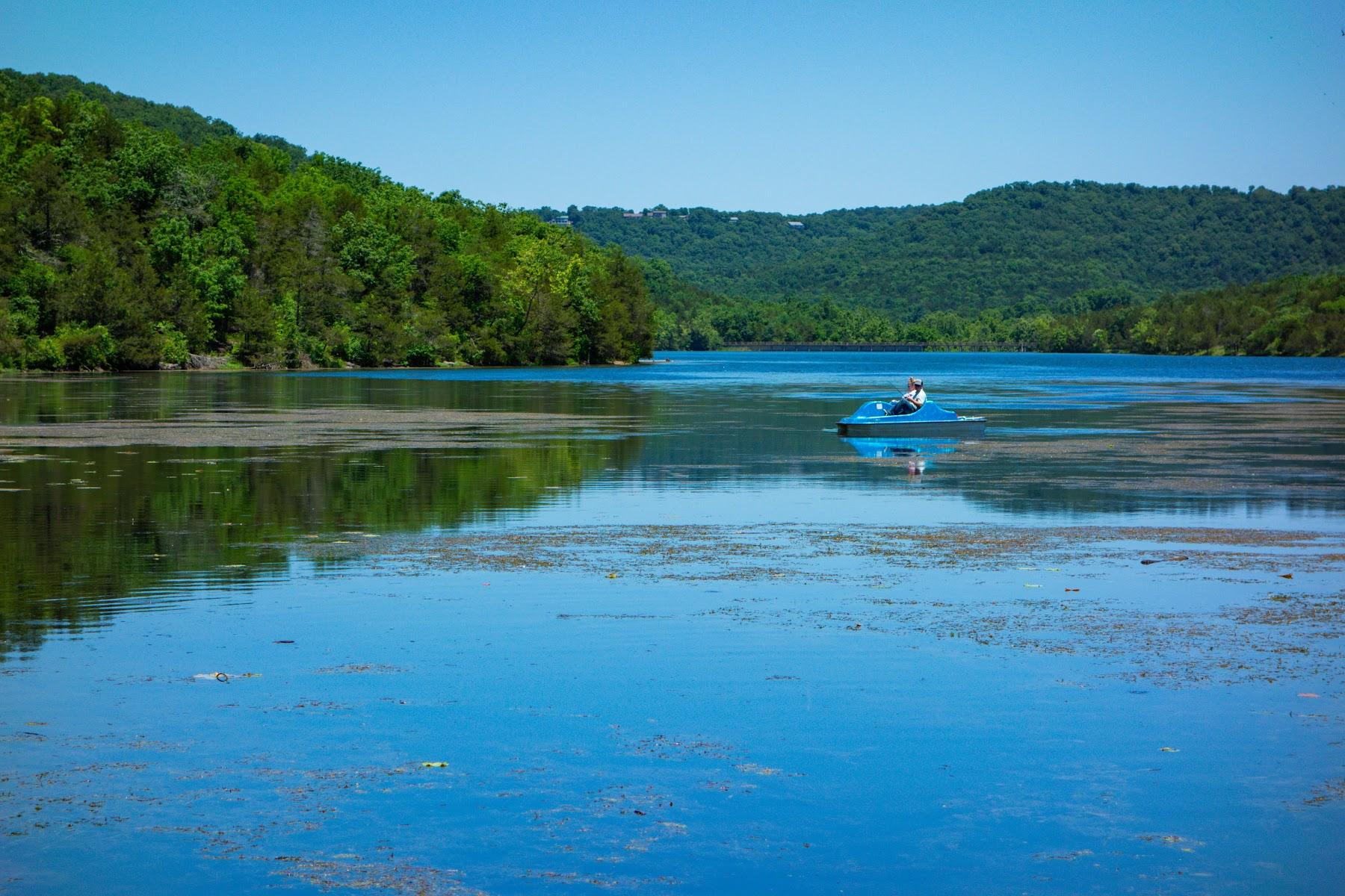 Sandee Lake Leatherwood Photo