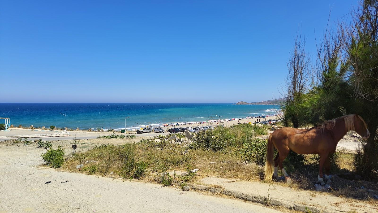 Sandee - Les Salines Beach