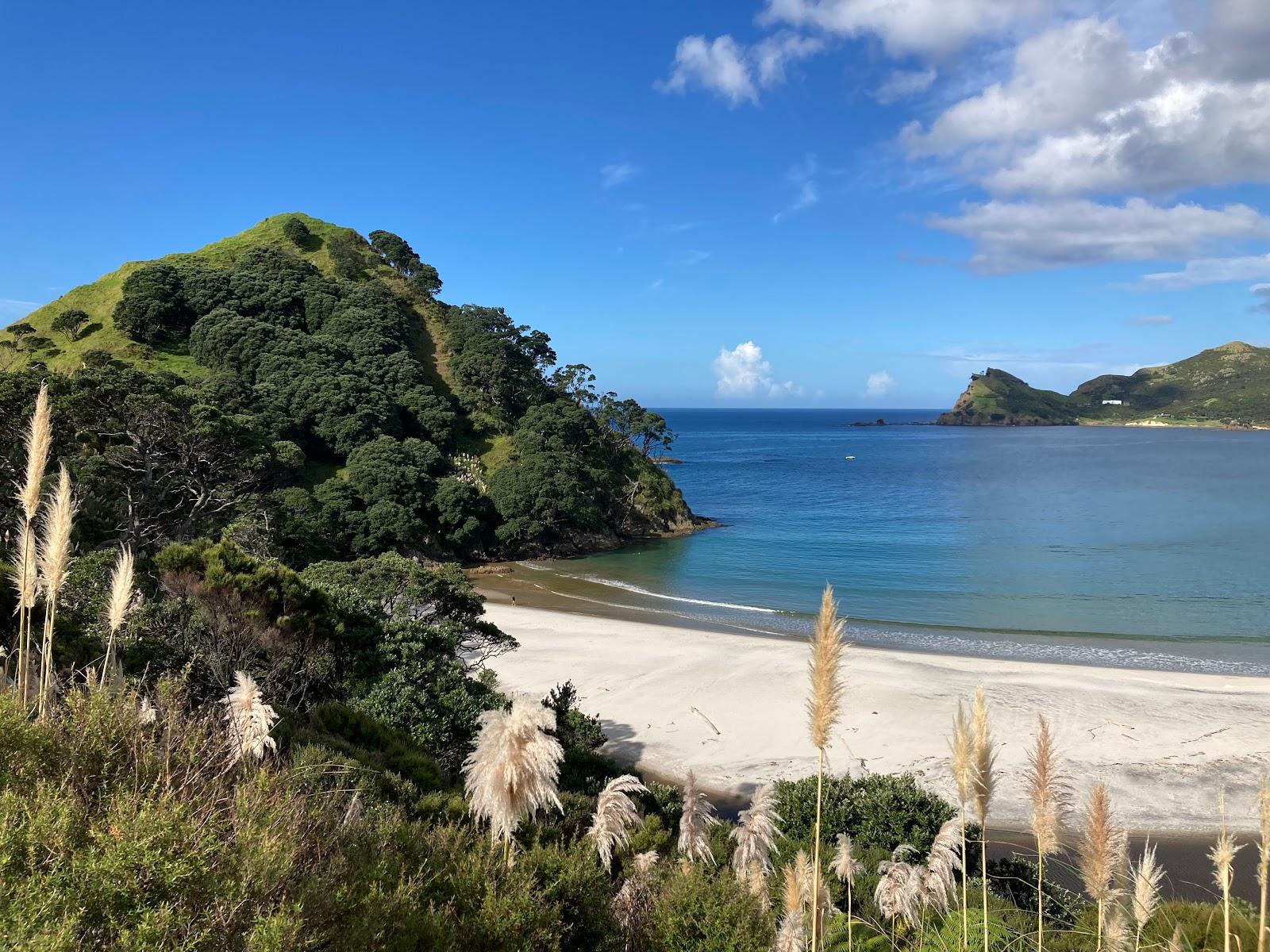 Great Barrier Island Photo - Sandee