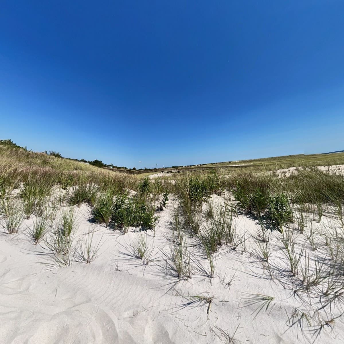 Sandee Townhouse Apartments At Lido Beach Photo