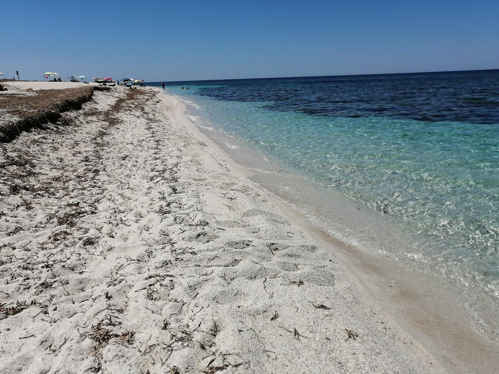 Sandee Spiaggia Corrighias Photo