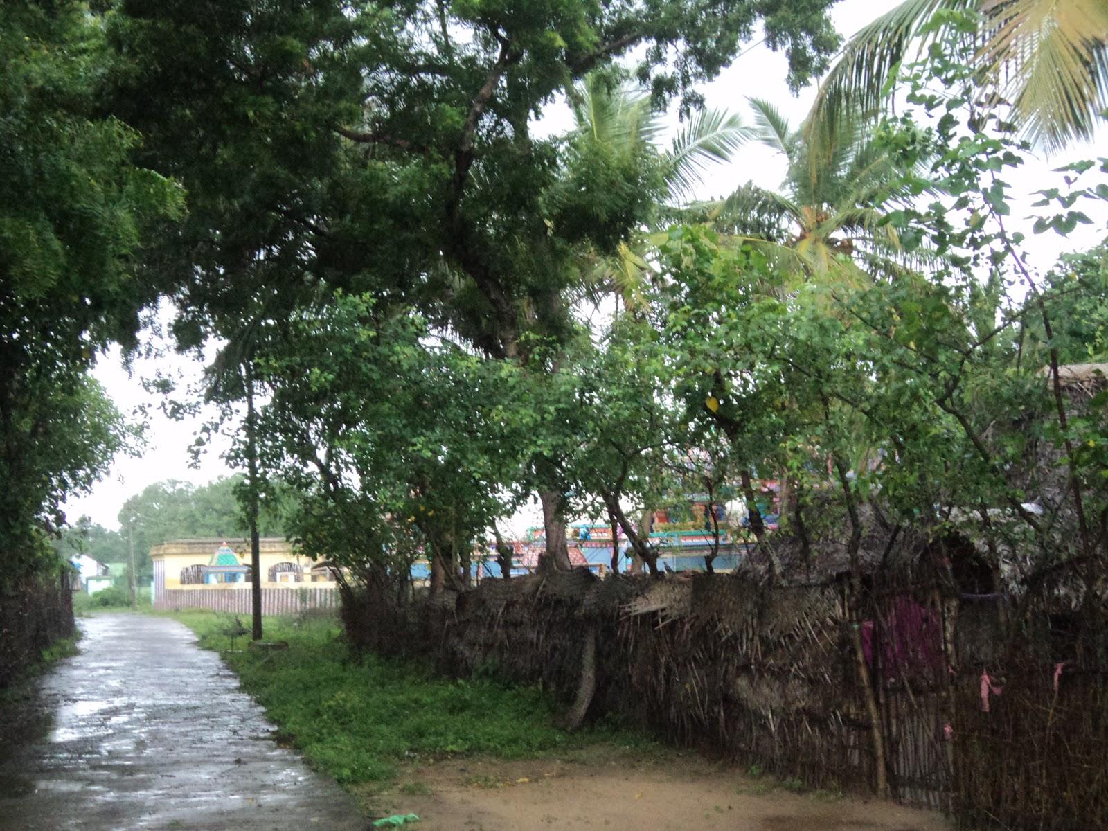 Sandee Annappanpettai Beach