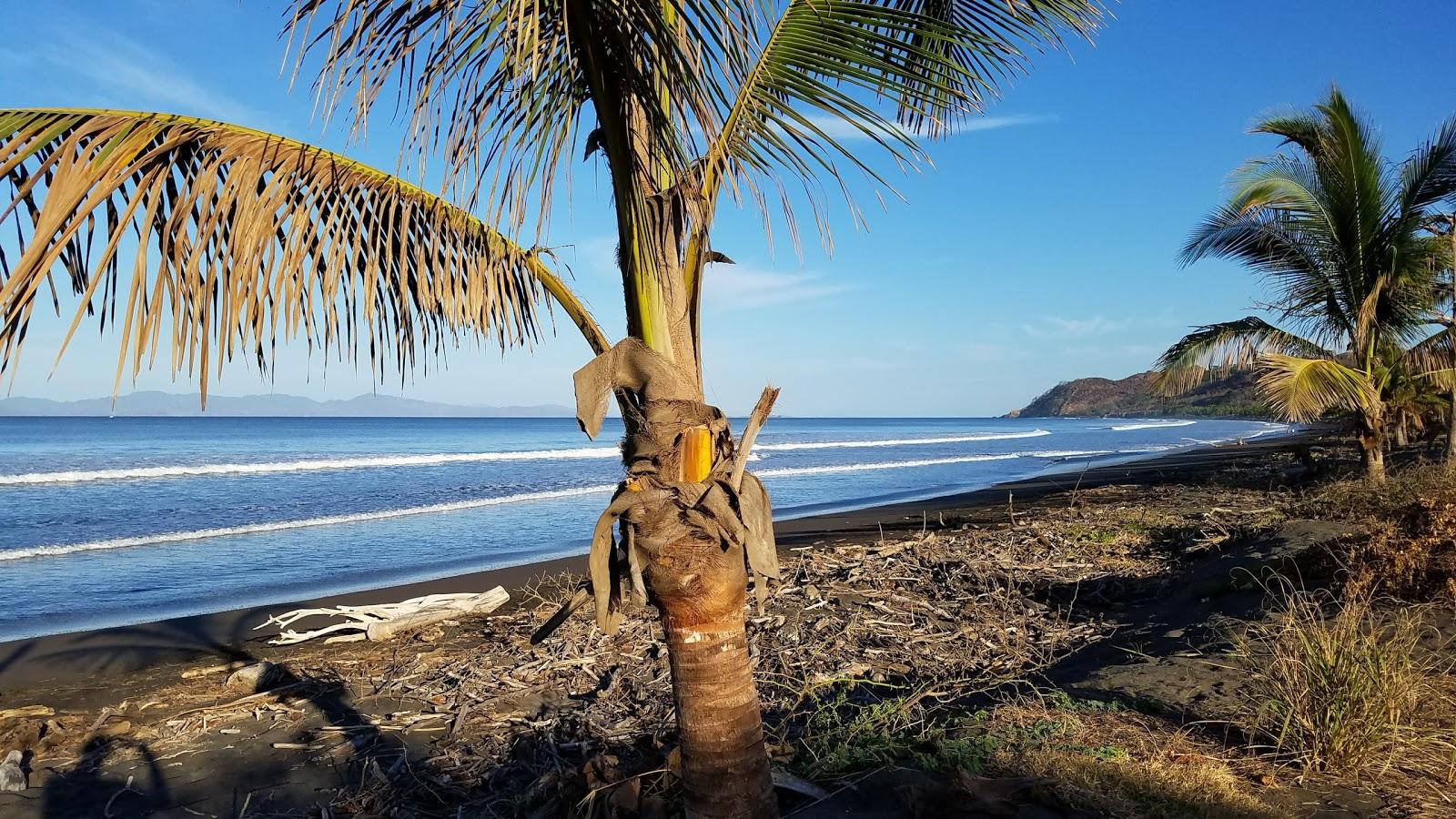 Sandee Playa Tivives