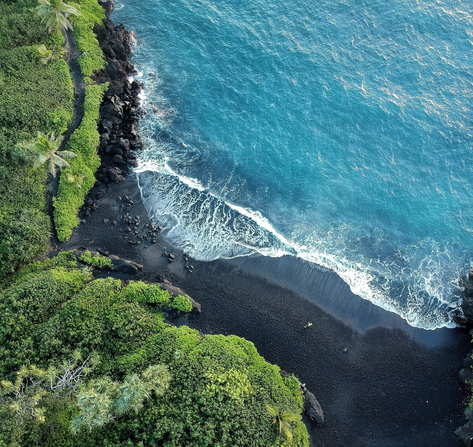 Sandee - Honokalani Black Sand Beach