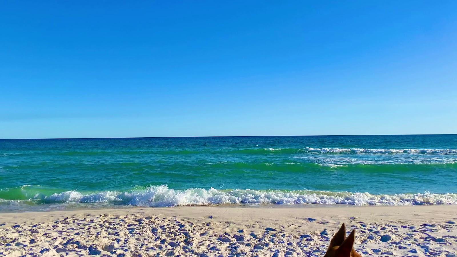 Sandee - Pensacola Dog Beach West