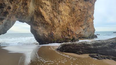 Sandee - Coast Dairies State Park - Secret Beach