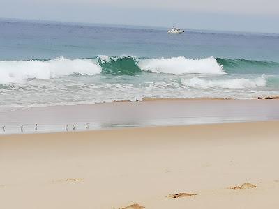 Sandee - Plage Naturiste De La Lagune