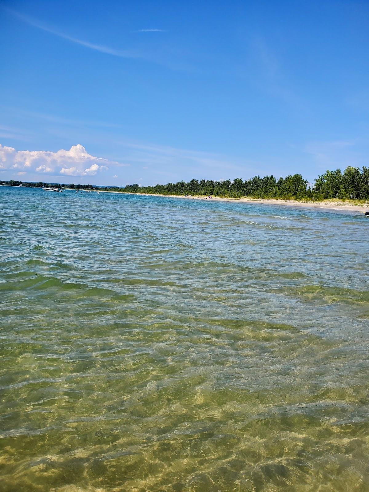 Sandee - Barcovan Beach