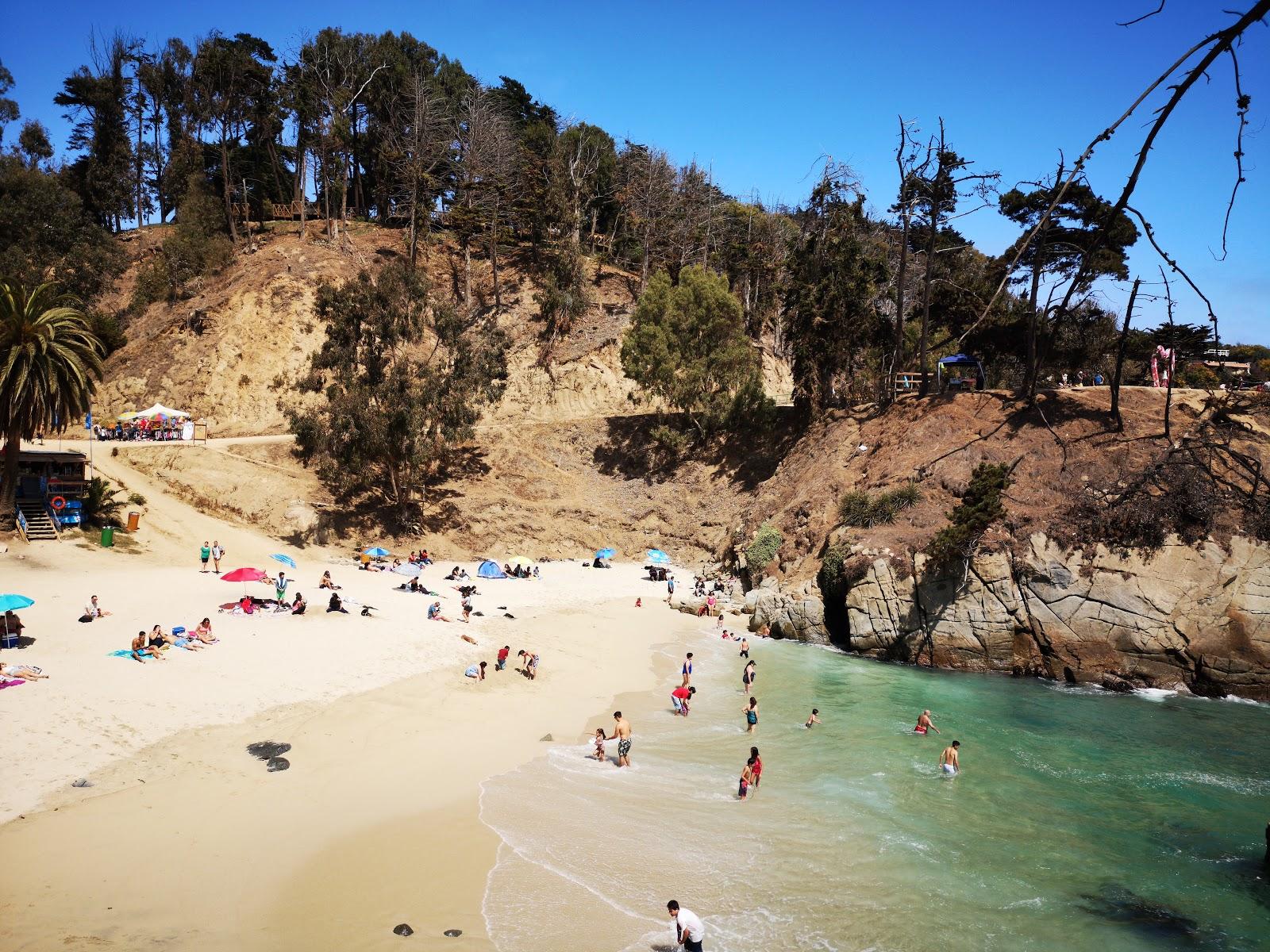 Sandee Playa Los Anamorados