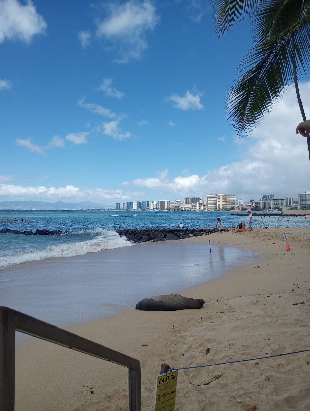 Sandee - Outrigger Canoe Club Beach