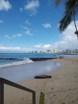 Sandee - Outrigger Canoe Club Beach