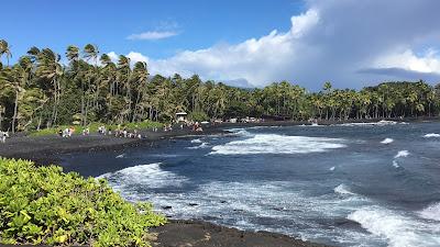 Sandee - Punaluu County Beach Park