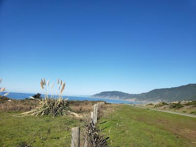 Sandee - Abalone Point