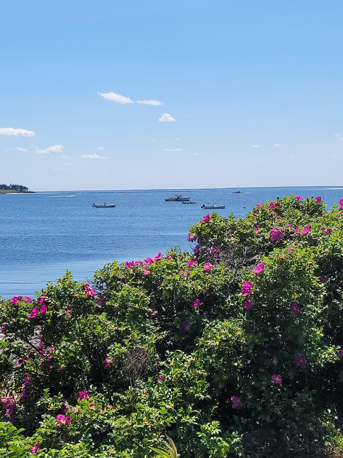 Sandee - Kettle Cove Beach