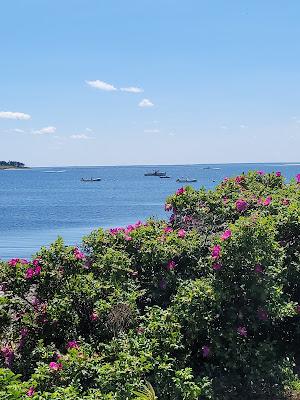 Sandee - Kettle Cove Beach