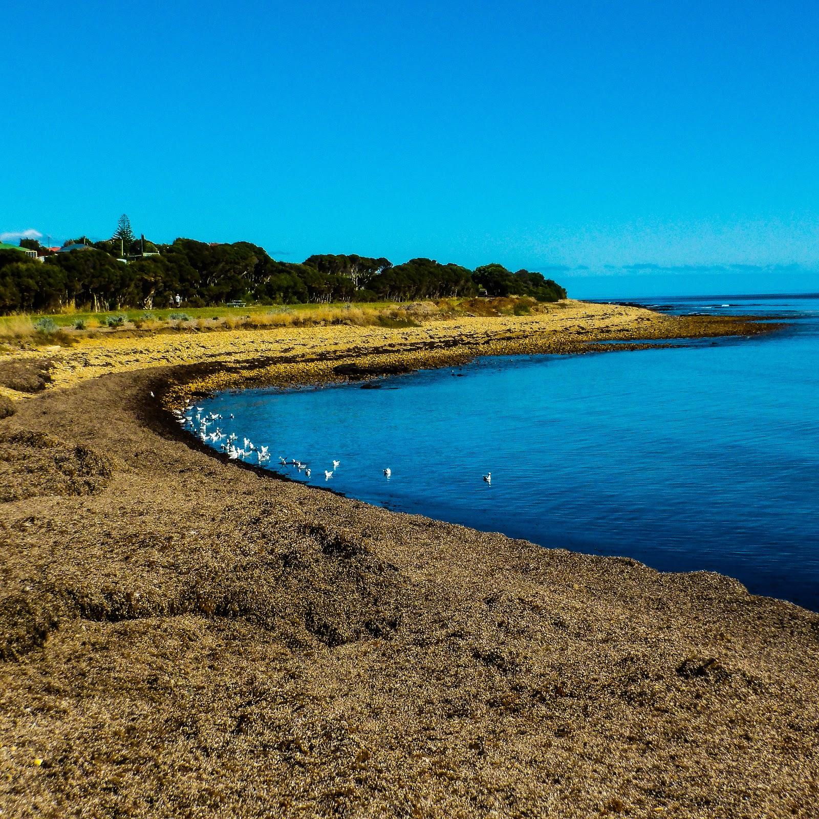 Sandee Pardoe Beach