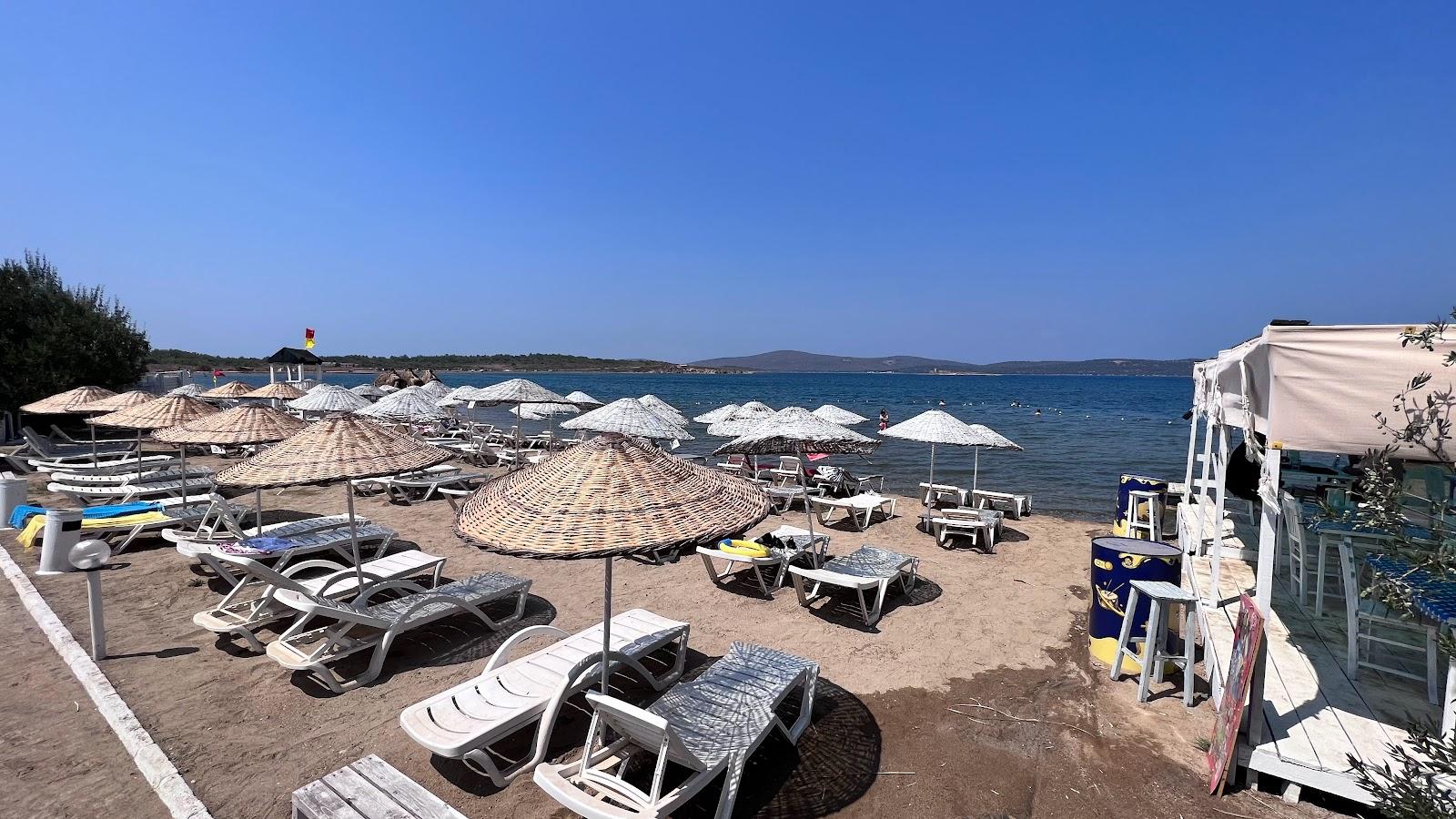 Sandee Ayayorgi Beach Club