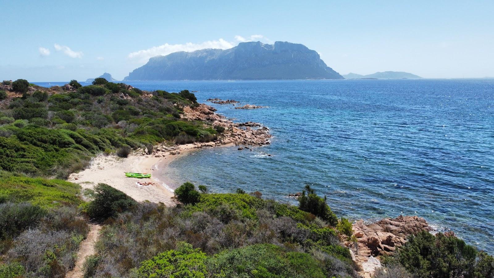 Sandee Spiaggetta Della Calcatreppula