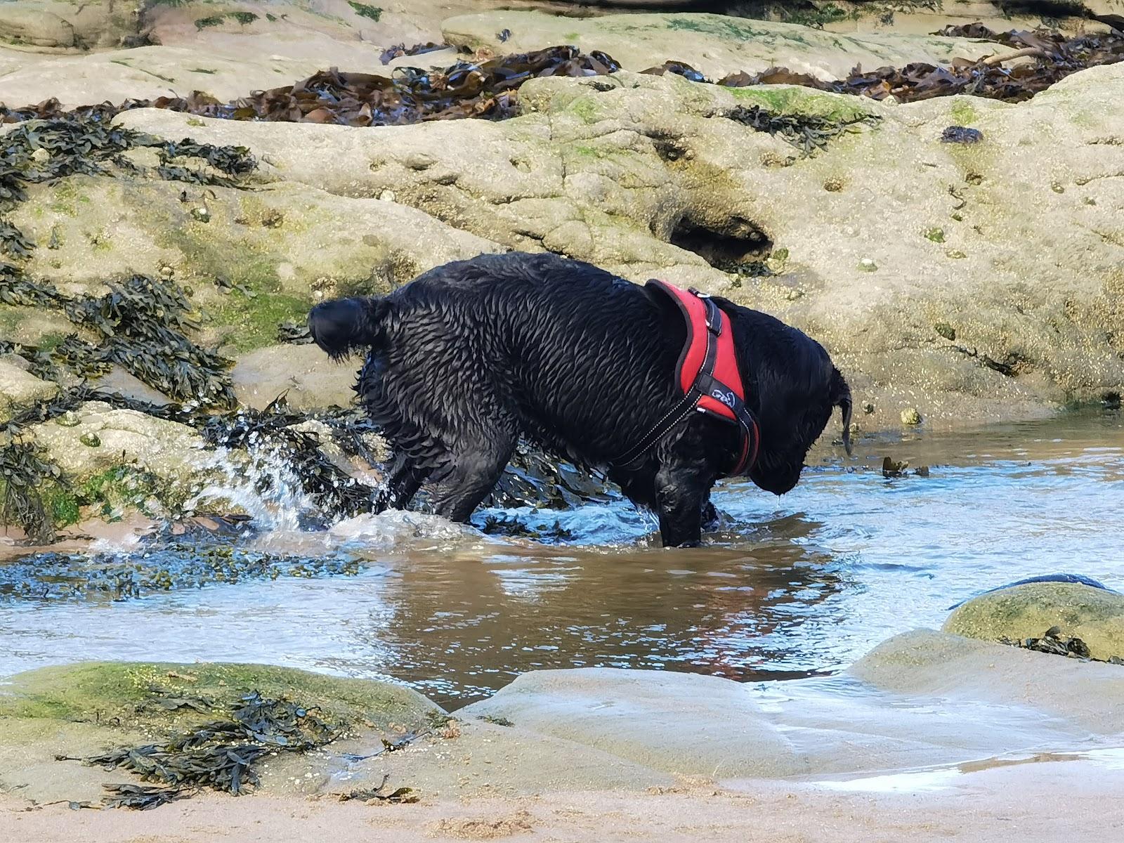 Sandee East Haven Beach Photo