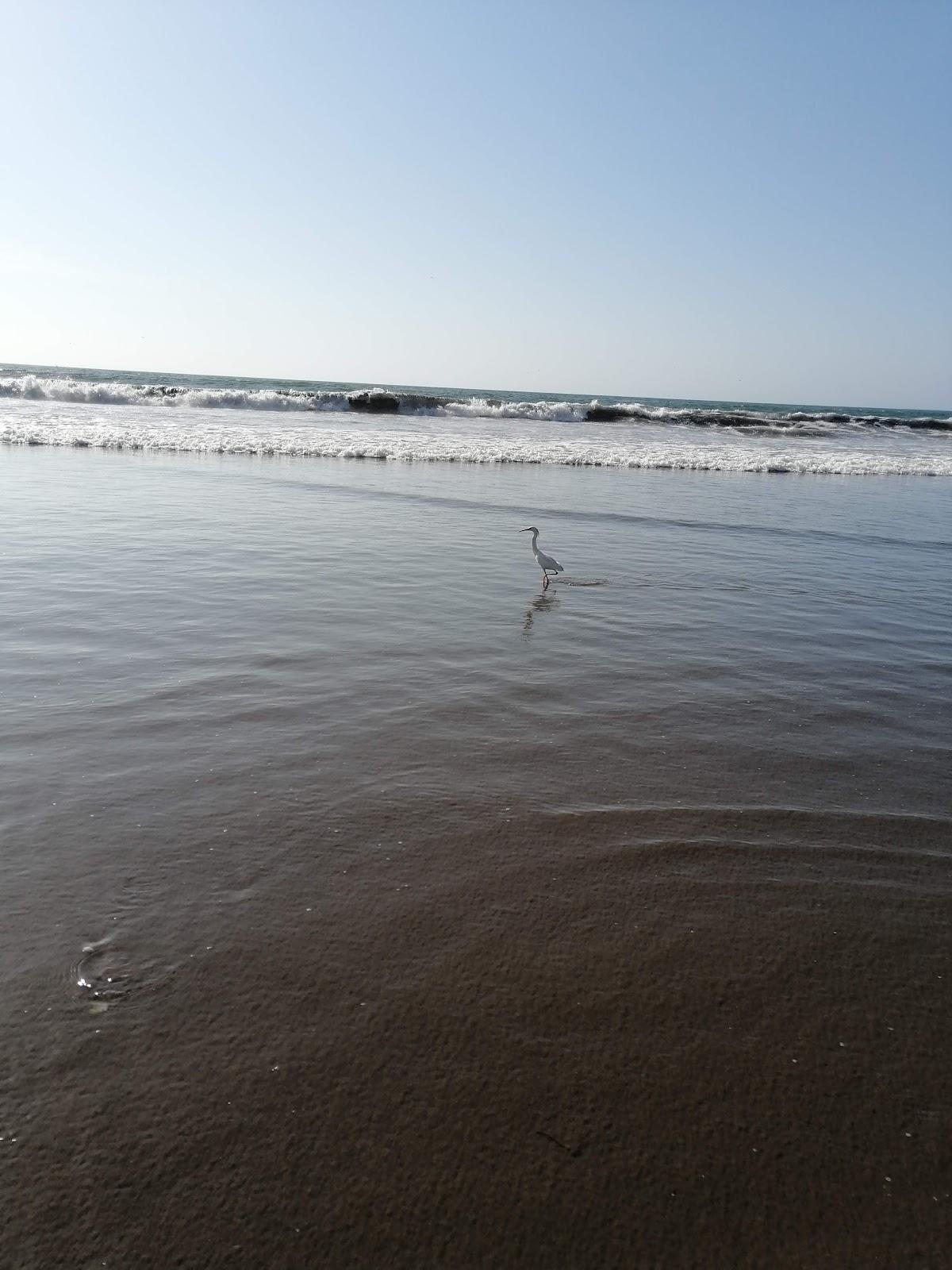 Sandee Penuelas Beach