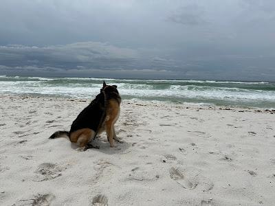 Sandee - Pensacola Dog Beach East