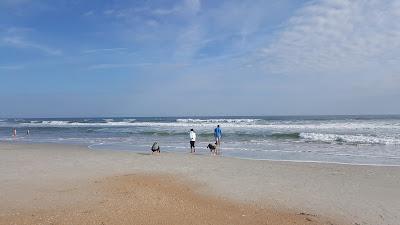 Sandee - Mickler's Landing Beach Park