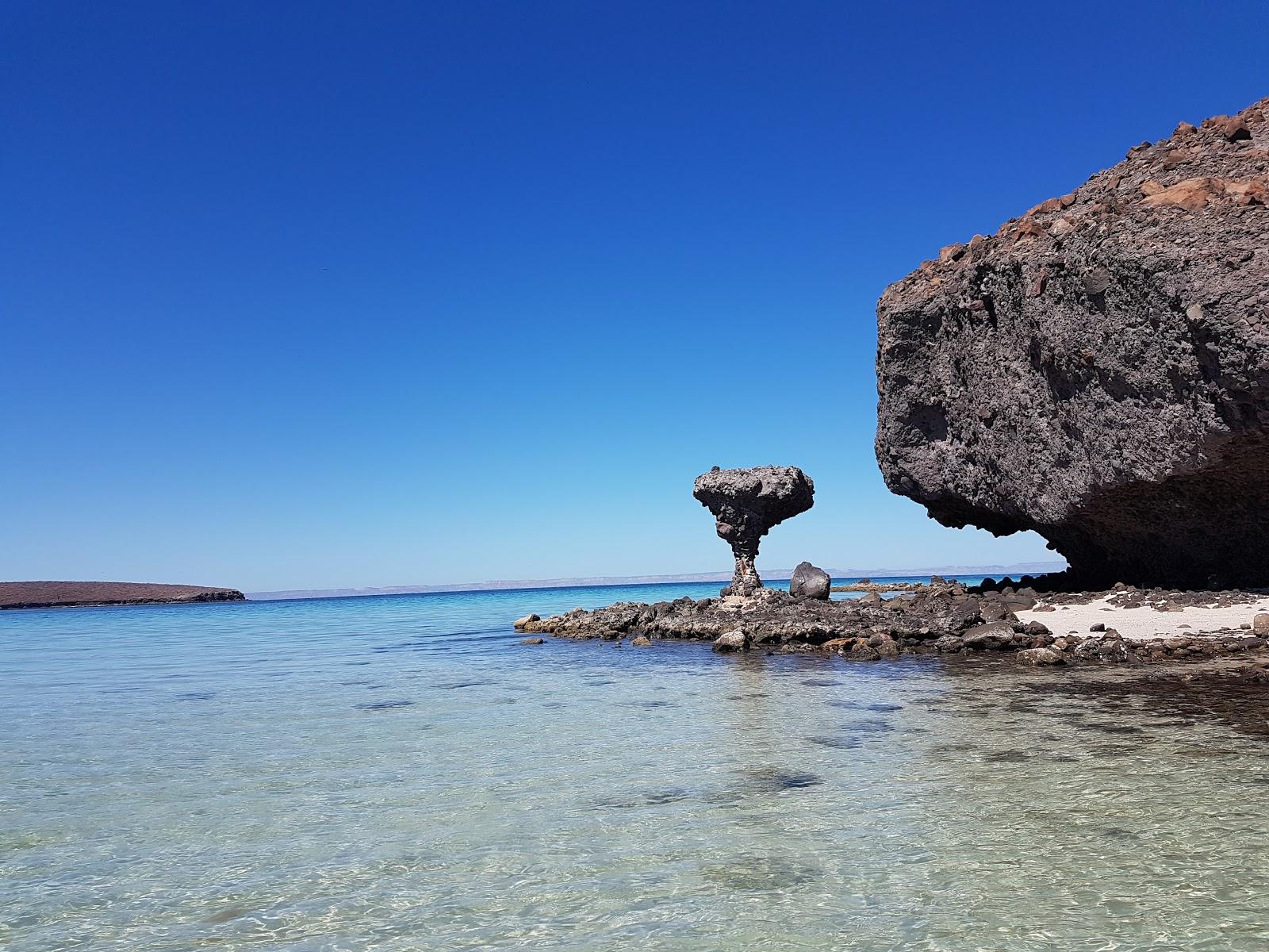 Sandee - Balandra Mushroom Rock