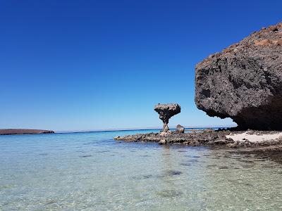 Sandee - Balandra Mushroom Rock