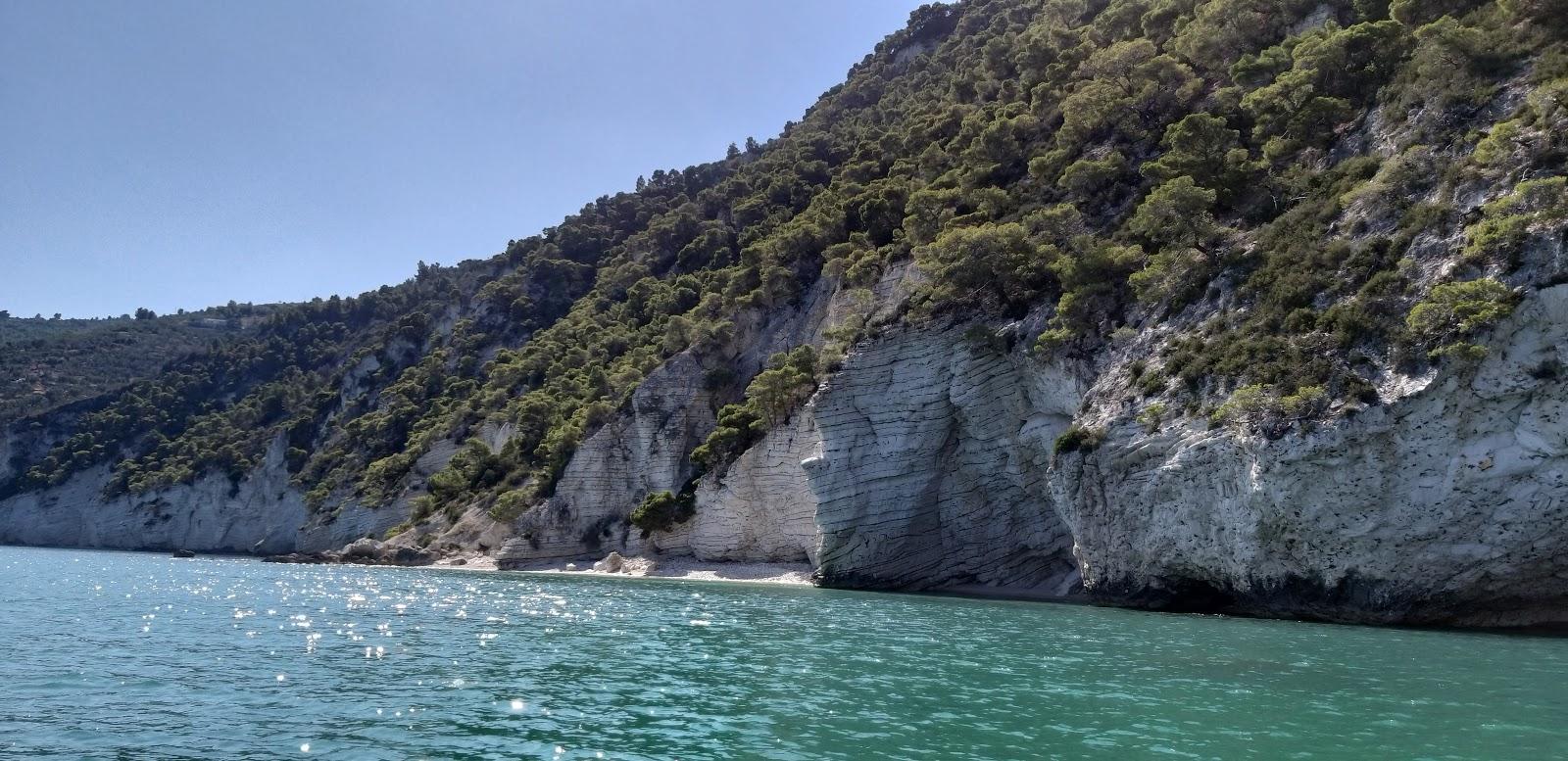 Sandee Baia Delle Pietre Nere