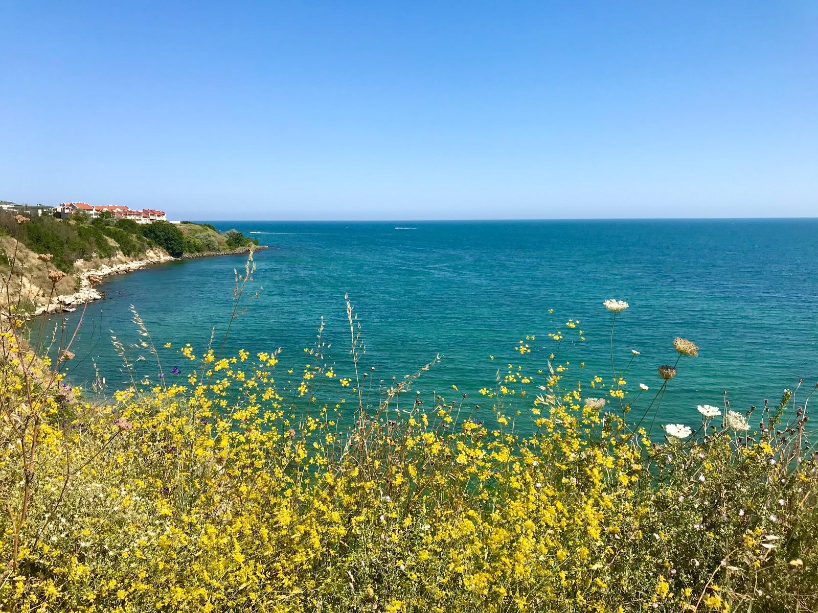 Sandee Aheloy Beach Photo