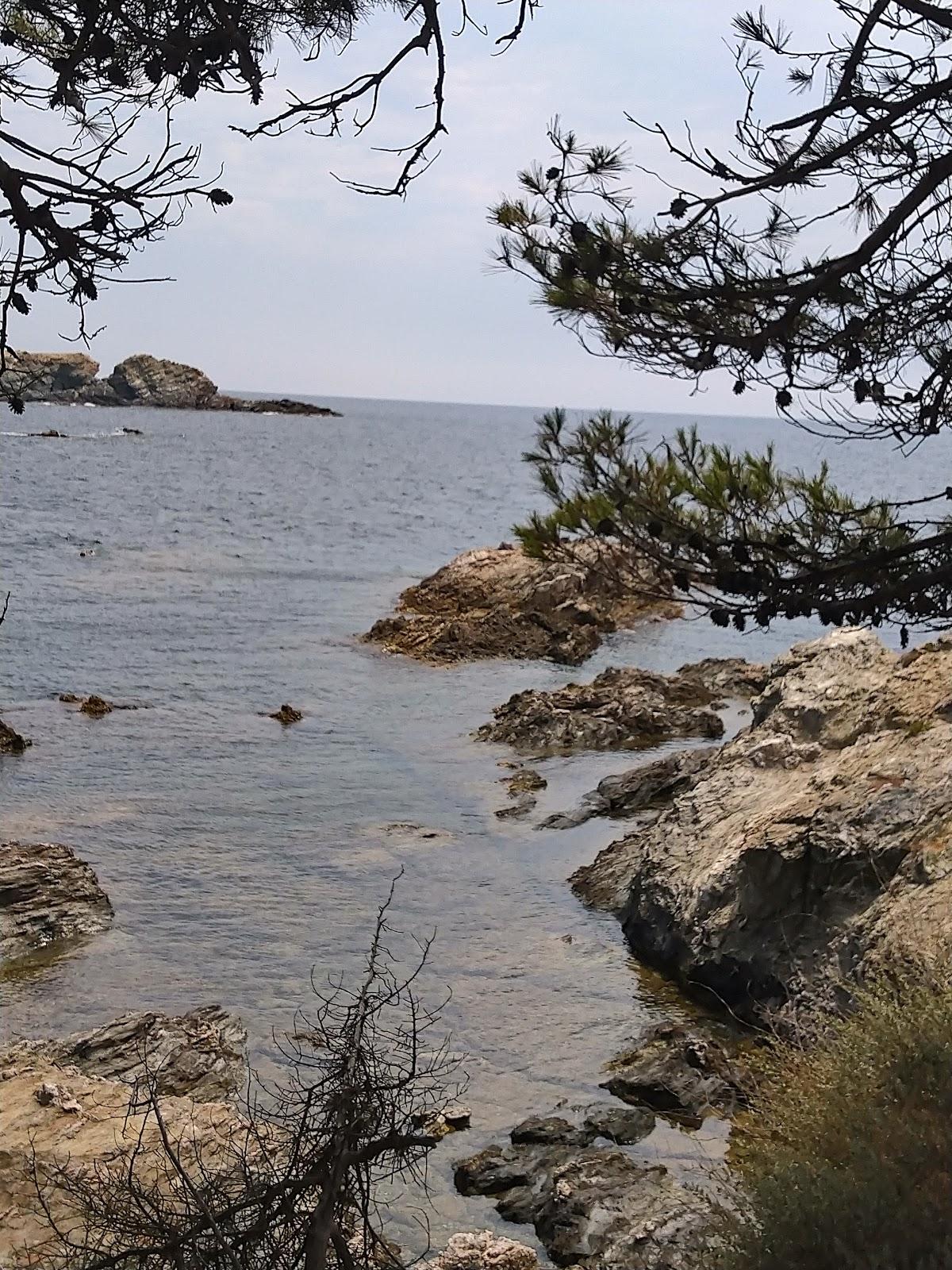 Sandee Plage Du Grand Gaou